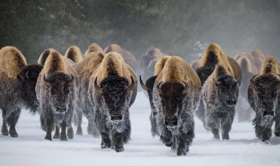 聊城市光旭管业有限公司轮播图1